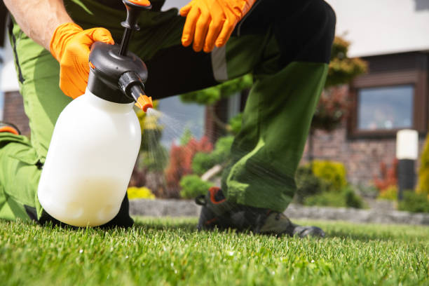 Best Commercial Pest Control Services  in Orono, MN