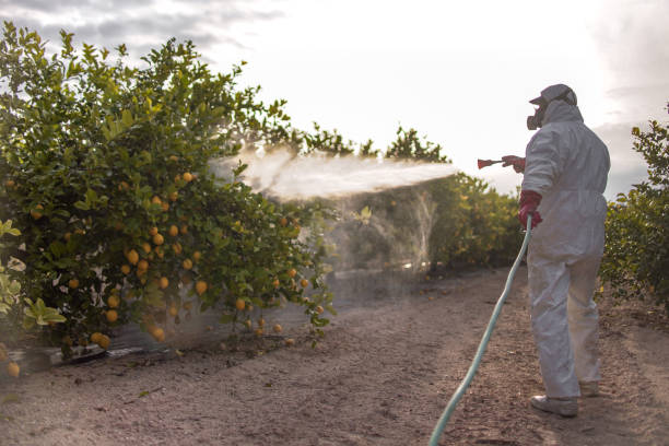Best Mosquito Control Services  in Orono, MN