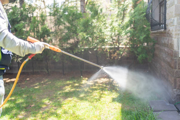 Best Flea Control Services  in Orono, MN