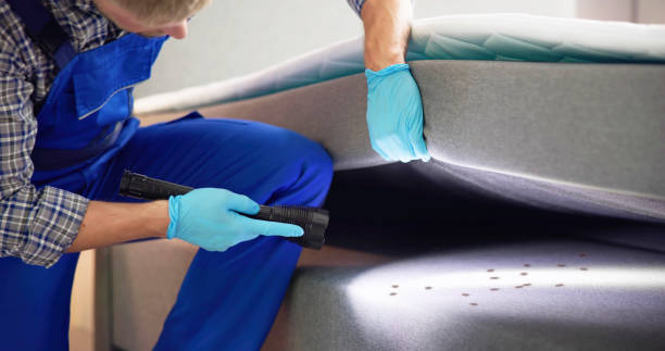 Trusted Orono, MN Pest Control Experts