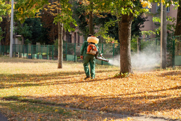 Best Pest Removal Services  in Orono, MN