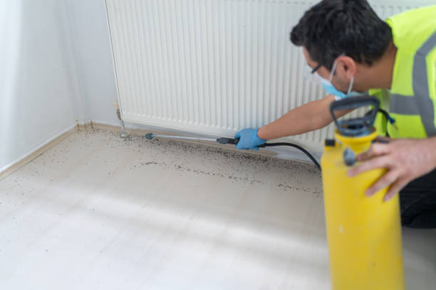 Best Termite Control Services  in Orono, MN