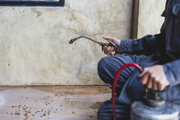 Best Exterminator Services  in Orono, MN